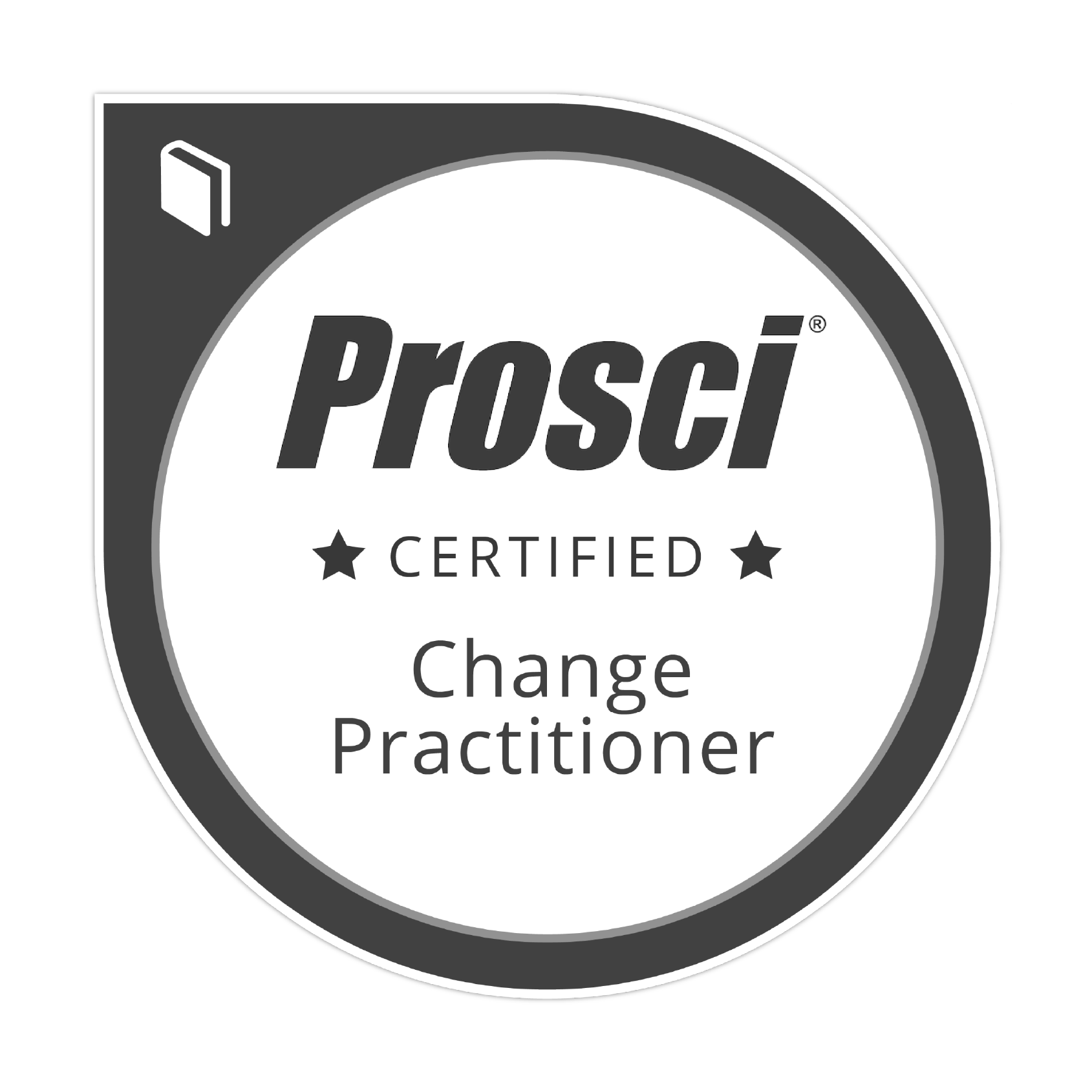 siegel-change-practitioner